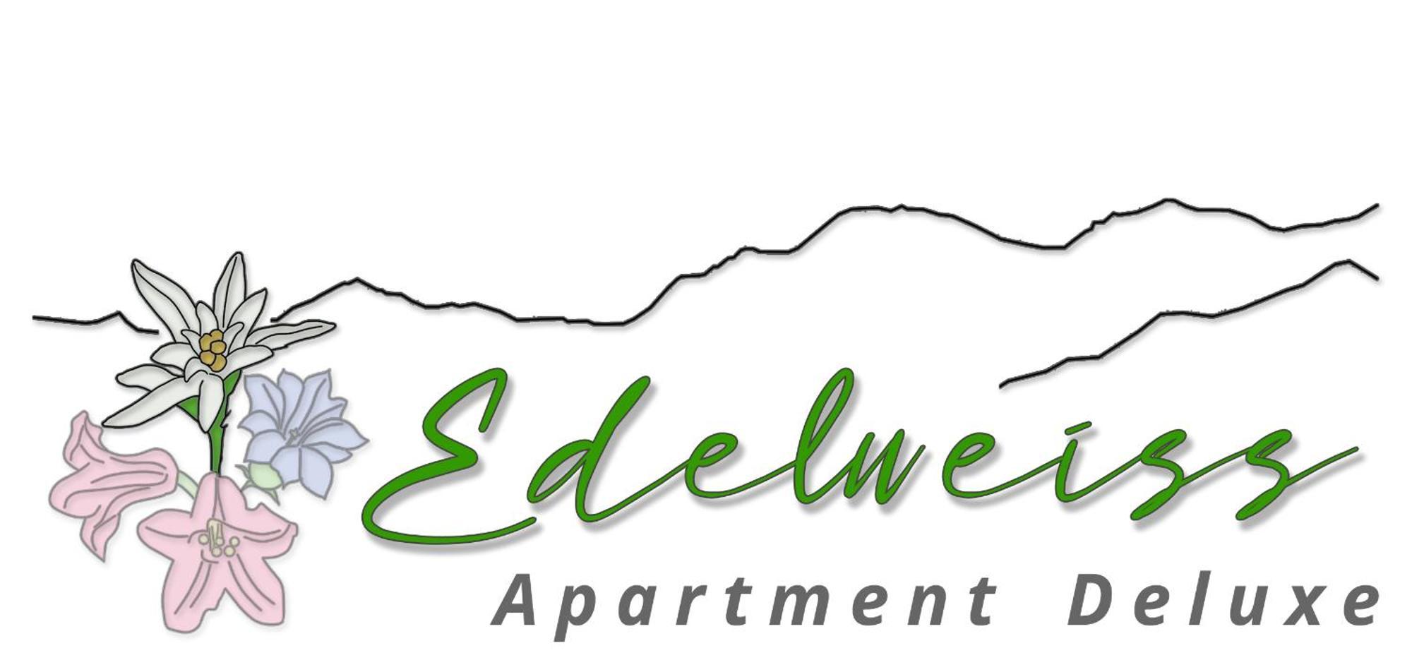 Chalet Wiesengrund Edelweiss 6P Saas-Almagell Zewnętrze zdjęcie